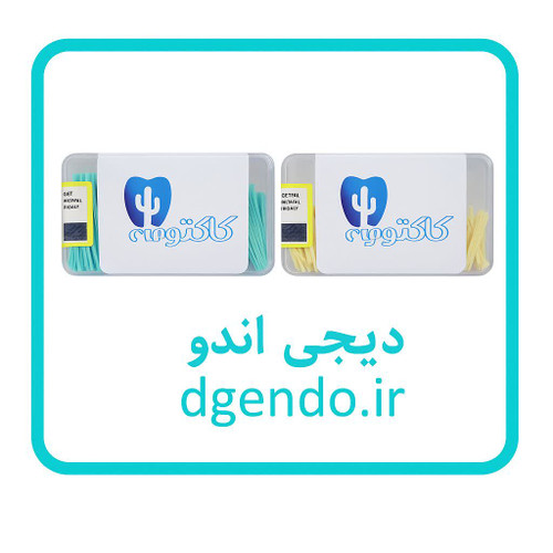 وج چوبی کاکتوس kaktoos