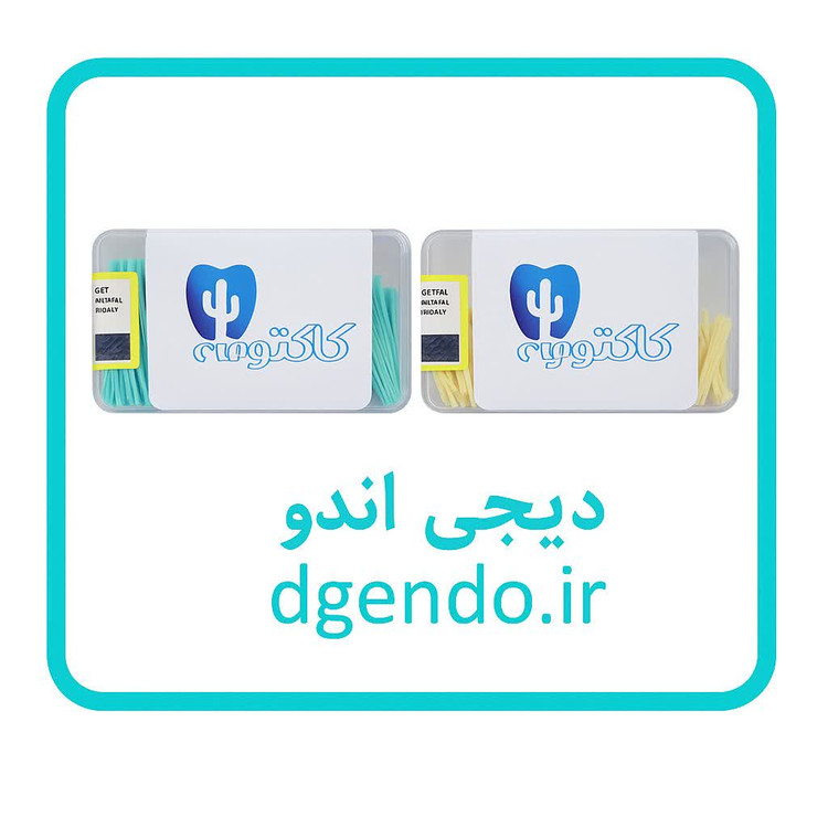 وج چوبی کاکتوس kaktoos